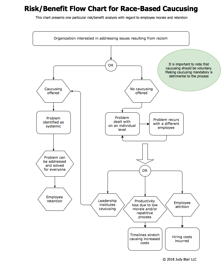 Flow chart image showing a risk/benefit analysis of race-based caucusing. For a PDF of this image, please contact judy@judy-blair.com